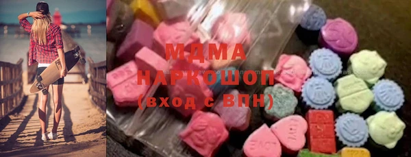 индика Бородино